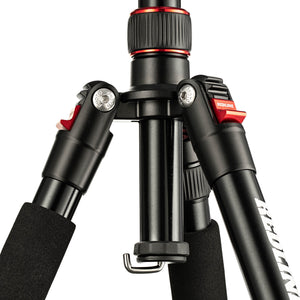 Redline DM65 Professional Full Size 65" Aluminum Lightweight 4 Section Tripod and Monopod with Ballhead for DSLR and Mirrorless Cameras