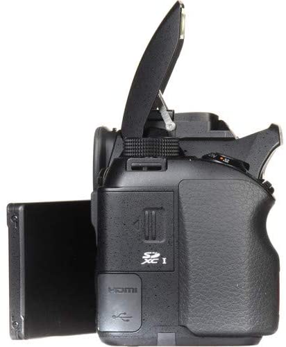 Image alt