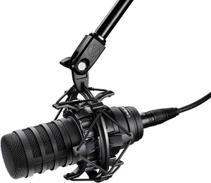 Audio-Technica BP40 Large Diaphragm Dynamic Broadcast Microphone - The Camera Box