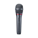 Audio-Technica AE6100 Dynamic Hypercardioid Microphone - The Camera Box